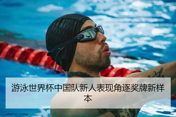 游泳世界杯中国队新人表现角逐奖牌新样本